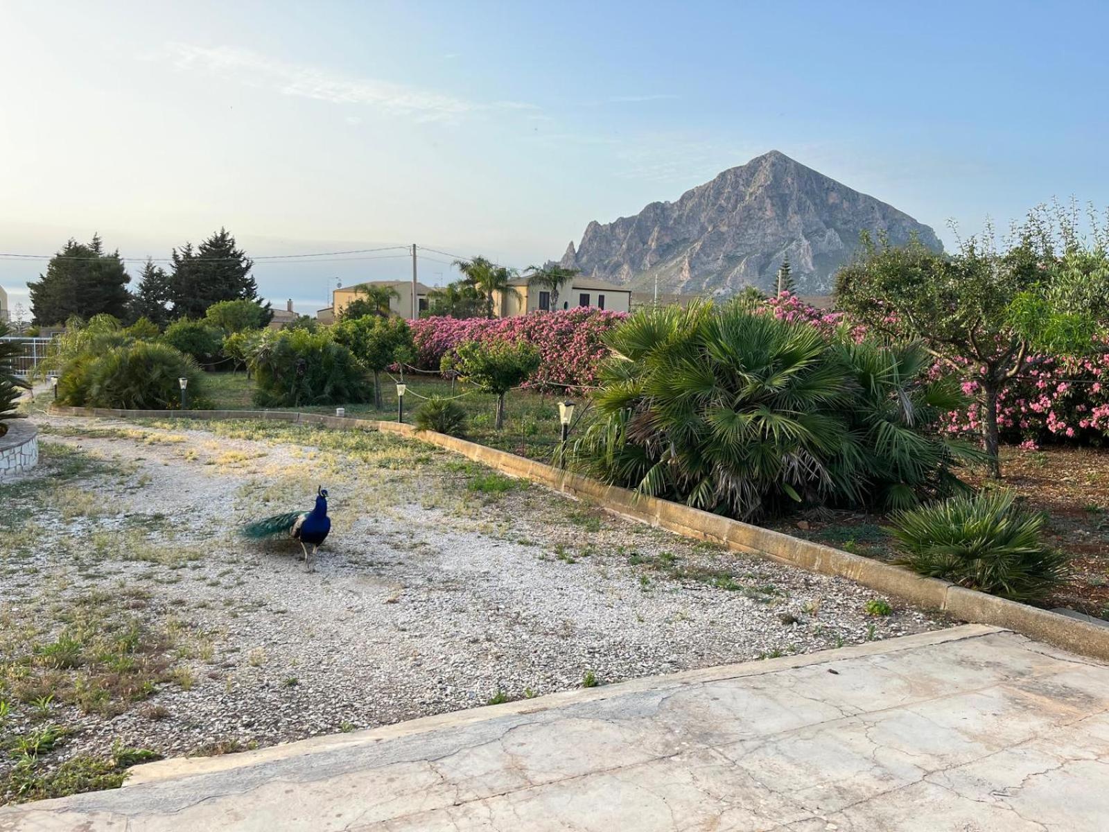 Villa Lea Custonaci Dış mekan fotoğraf